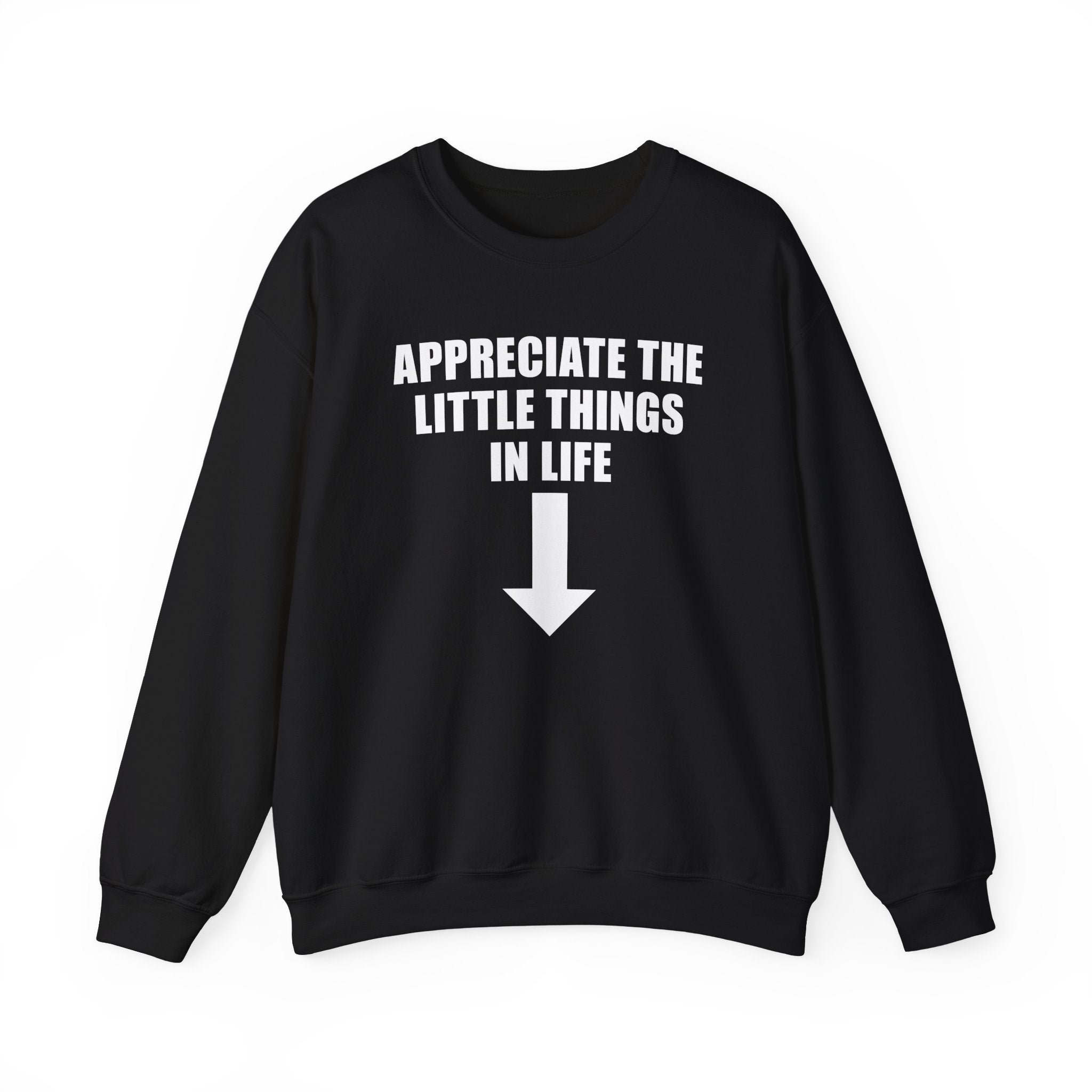 APPRECIATE THE LITTLE THINGS IN LIFE CREWNECK