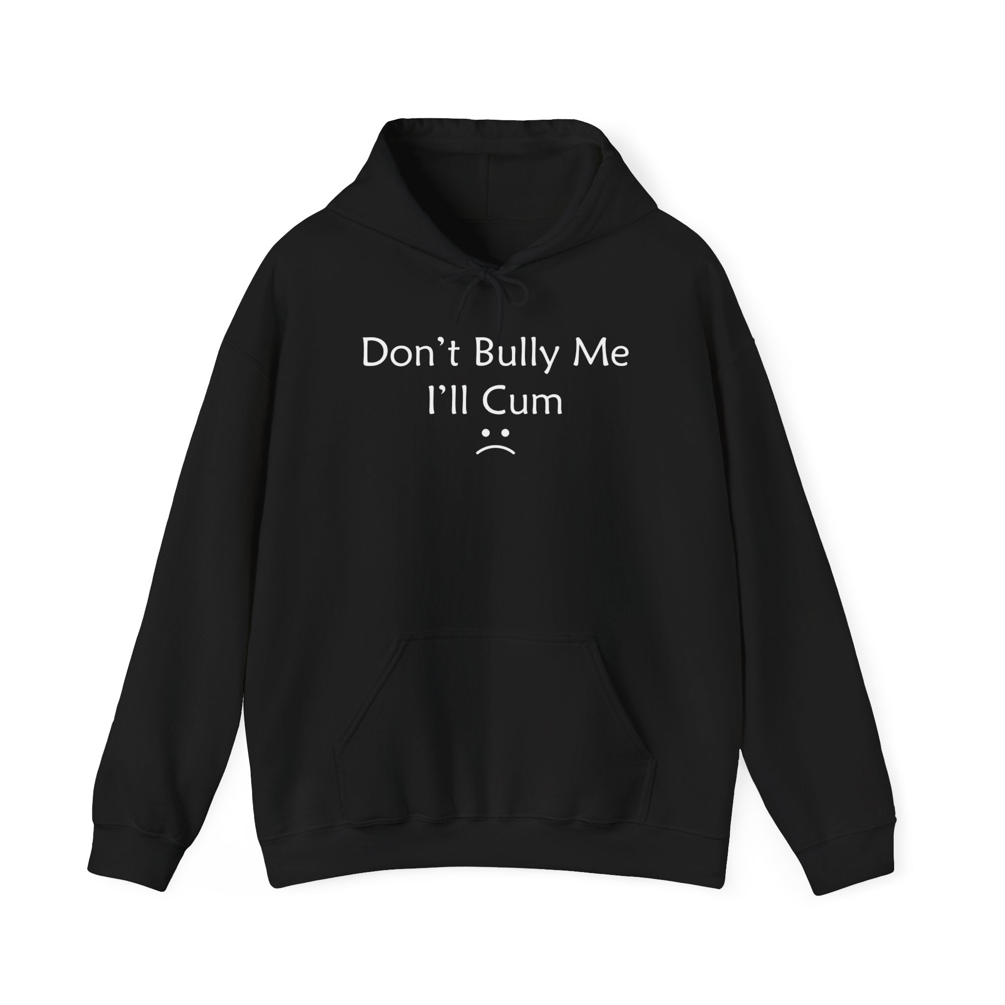 DON'T BULLY ME I'LL CUM HOODIE