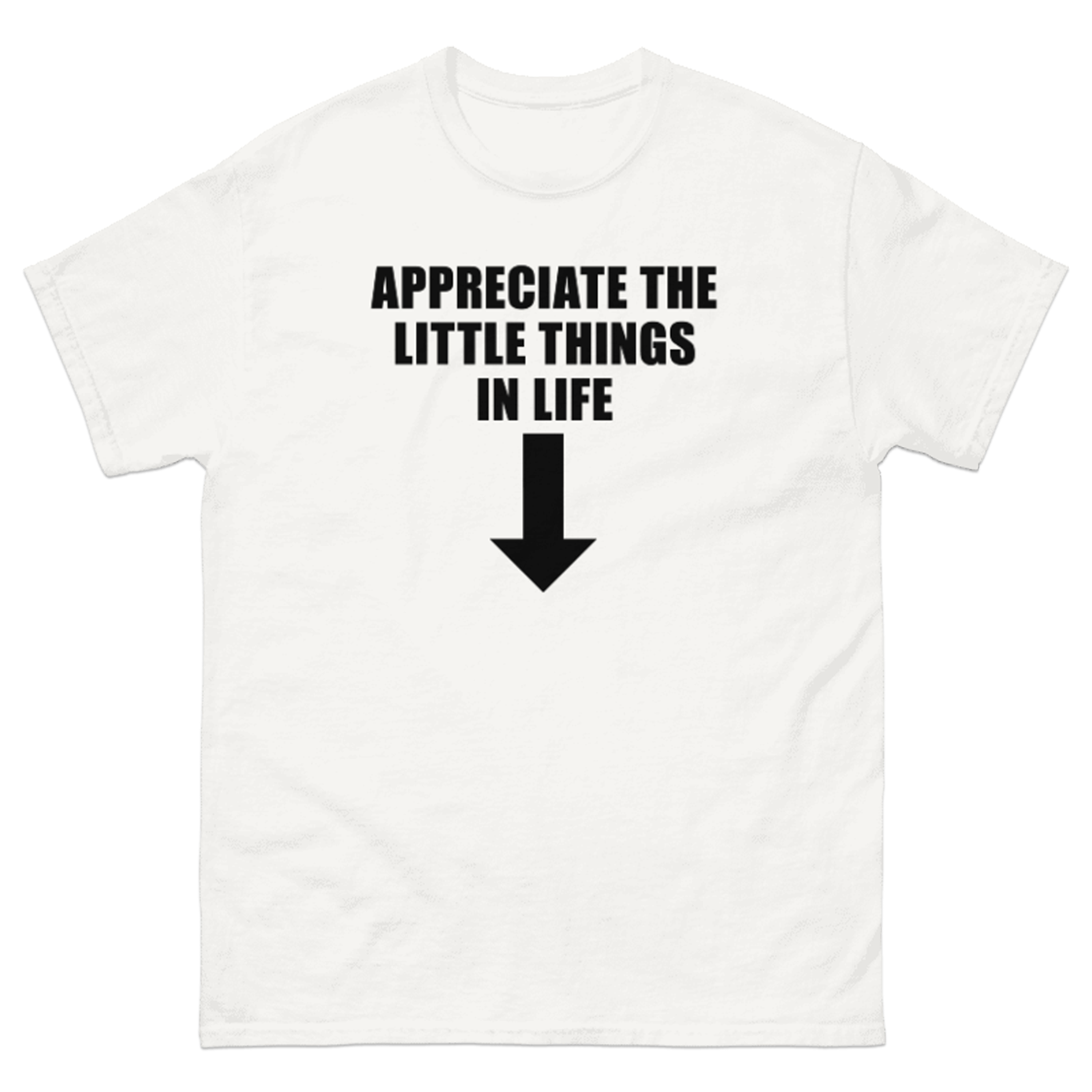 APPRECIATE THE LITTLE THINGS IN LIFE T-SHIRT