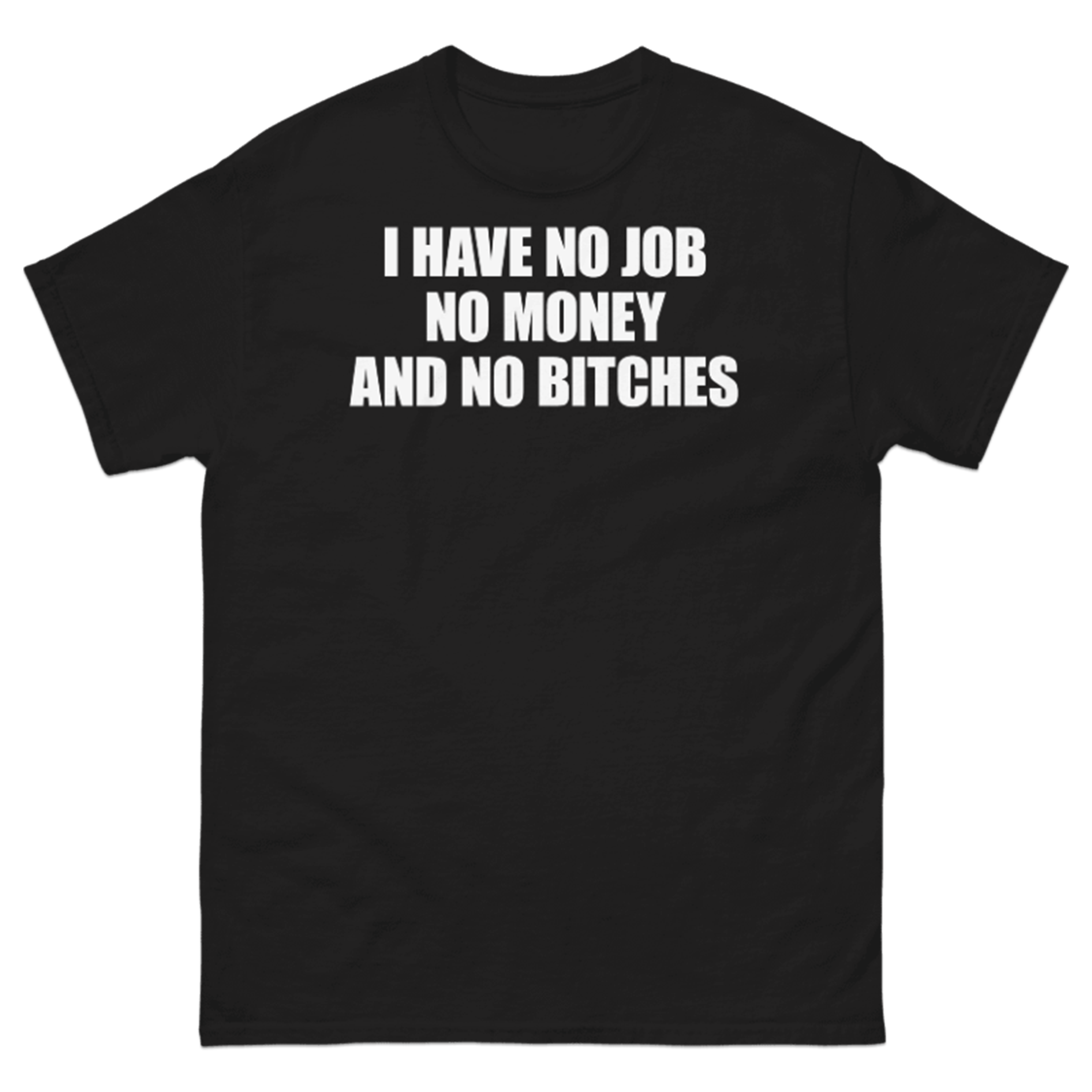 I HAVE NO JOB NO MONEY AND NO BITCHES T-SHIRT