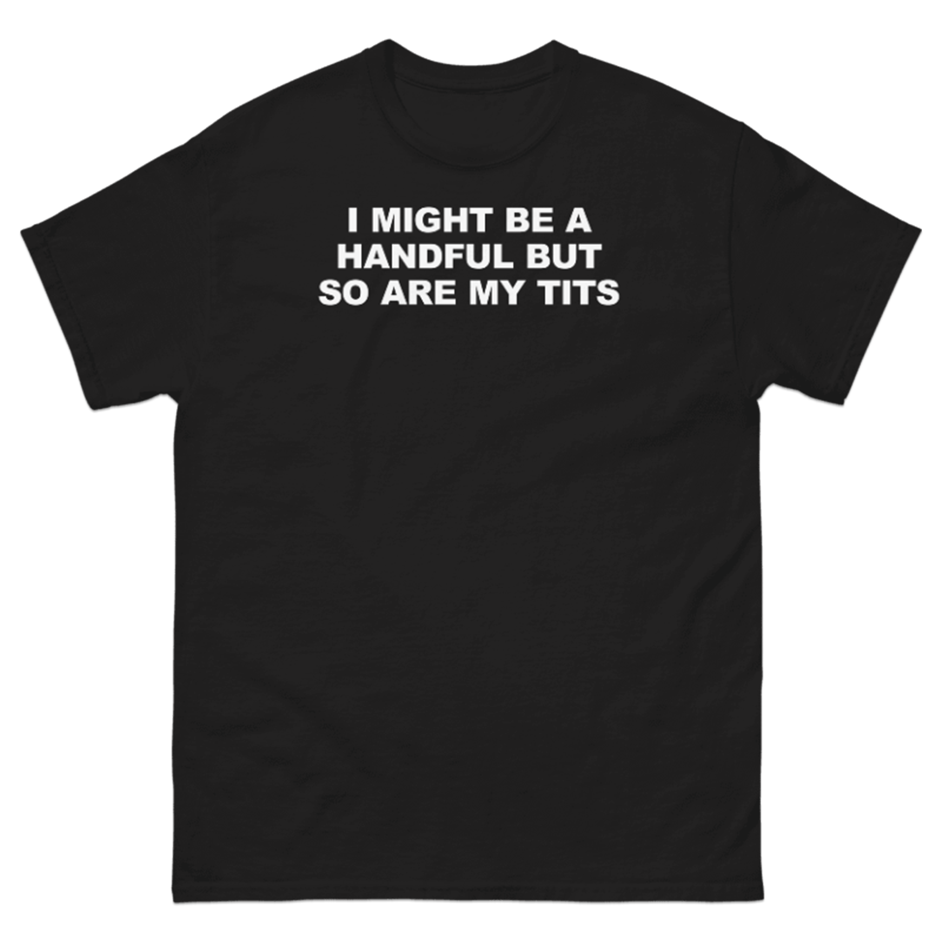 I MIGHT BE A HANDFUL BUT SO ARE MY TITS T-SHIRT