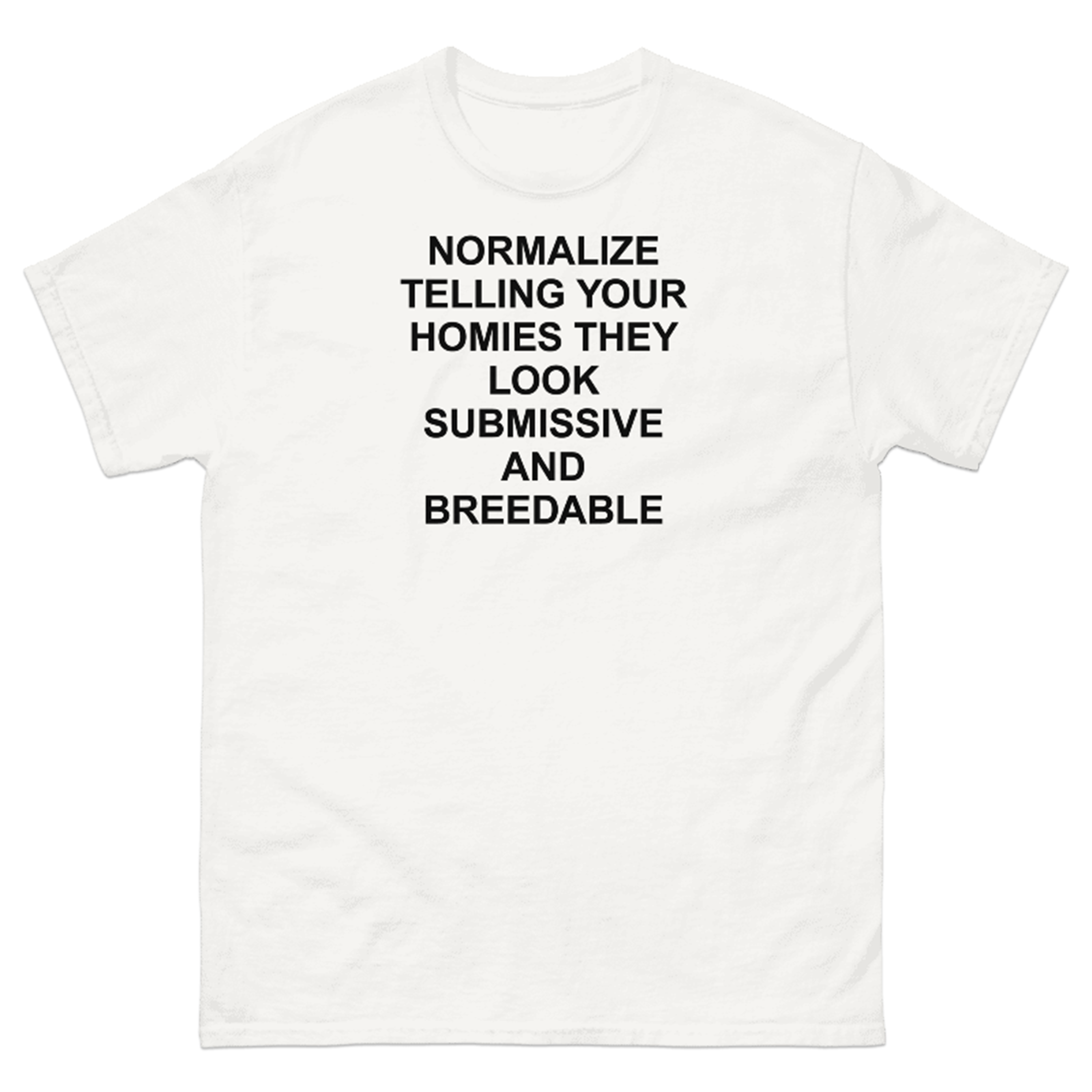 NORMALIZE TELLING YOUR HOMIES THEY LOOK SUBMISSIVE AND BREEDABLE T-SHIRT