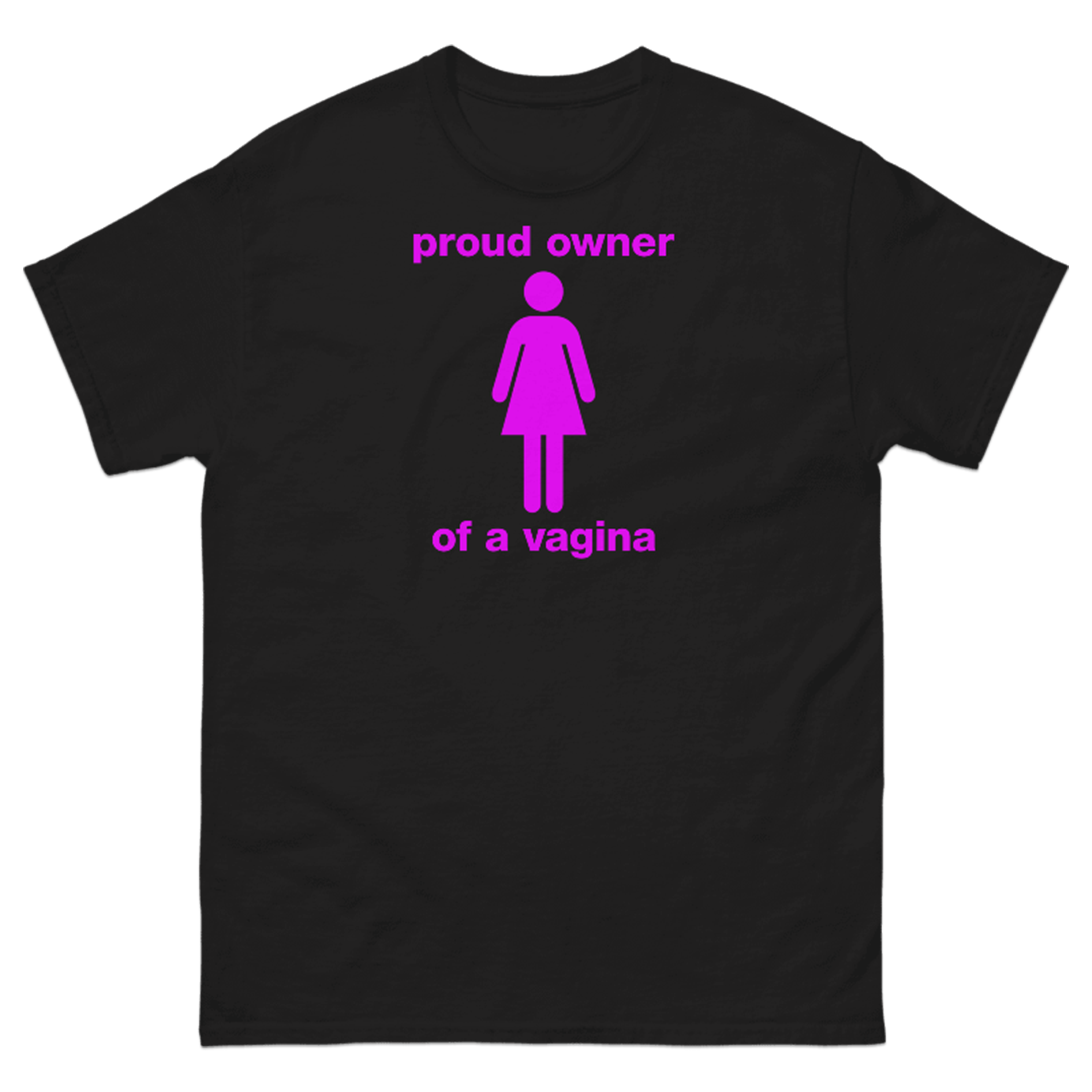 PROUD OWNER OF A VAGINA T-SHIRT