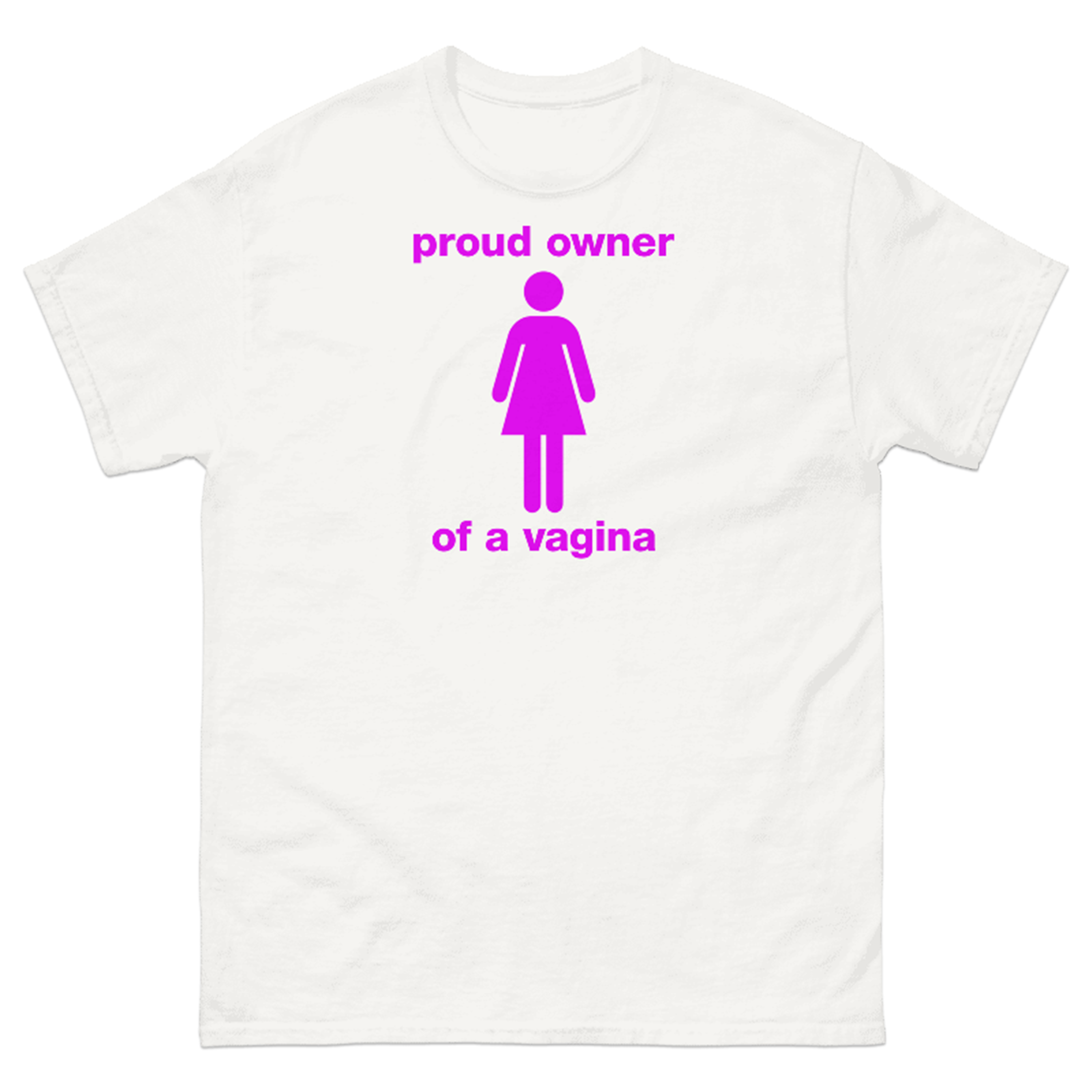 PROUD OWNER OF A VAGINA T-SHIRT