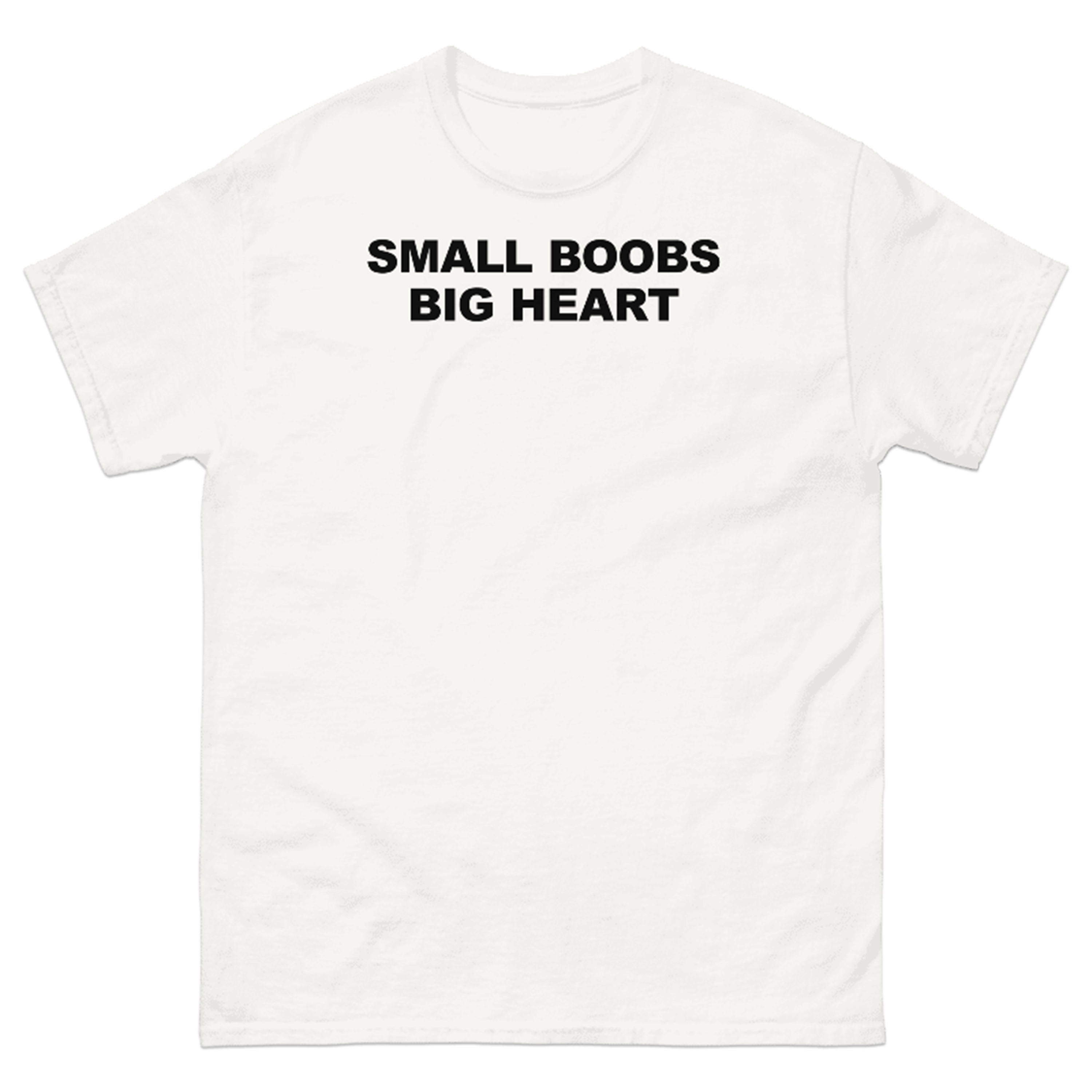 SMALL BOOBS BIG HEART T-SHIRT