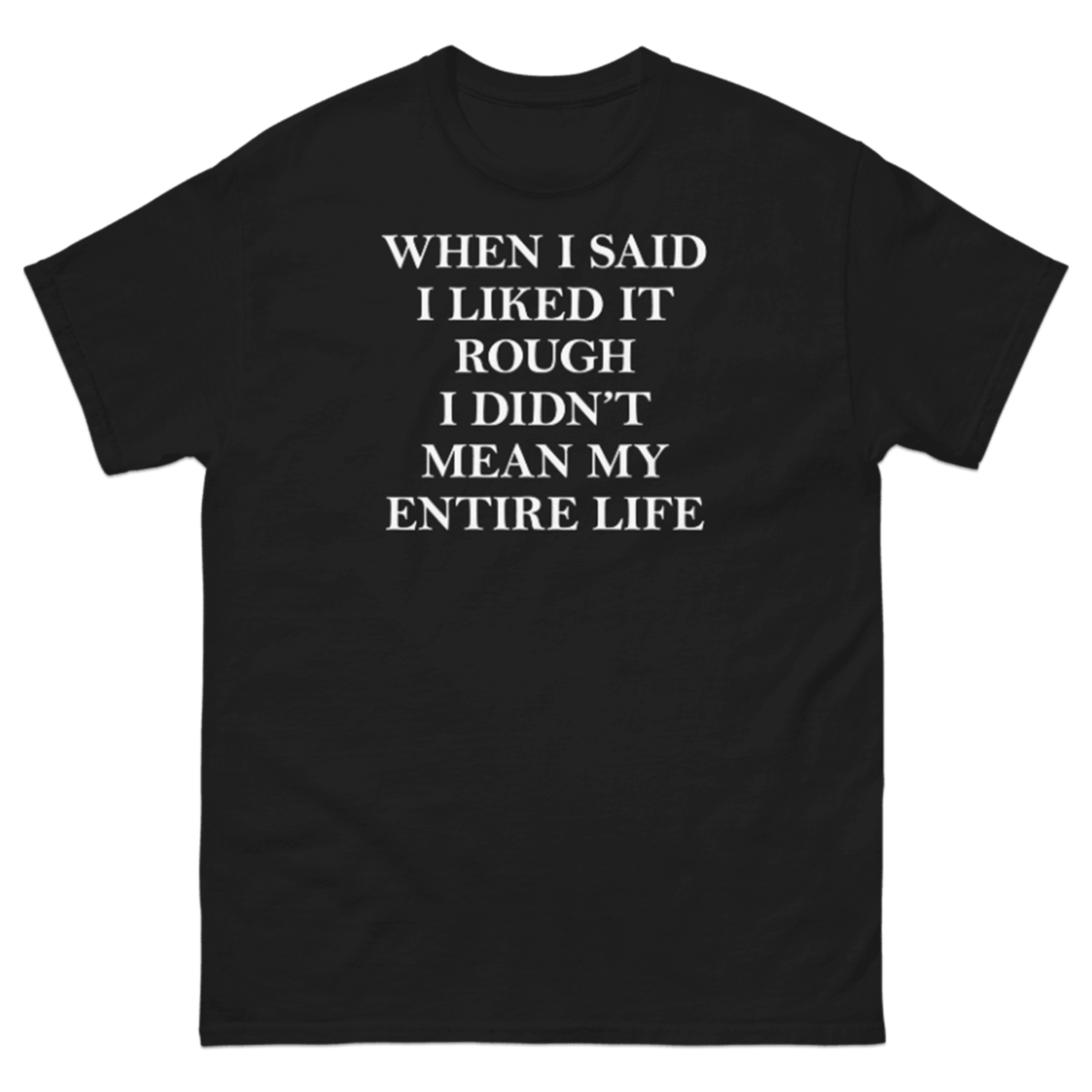 WHEN I SAID I LIKED IT ROUGH I DIDN'T MEAN MY ENTIRE LIFE T-SHIRT