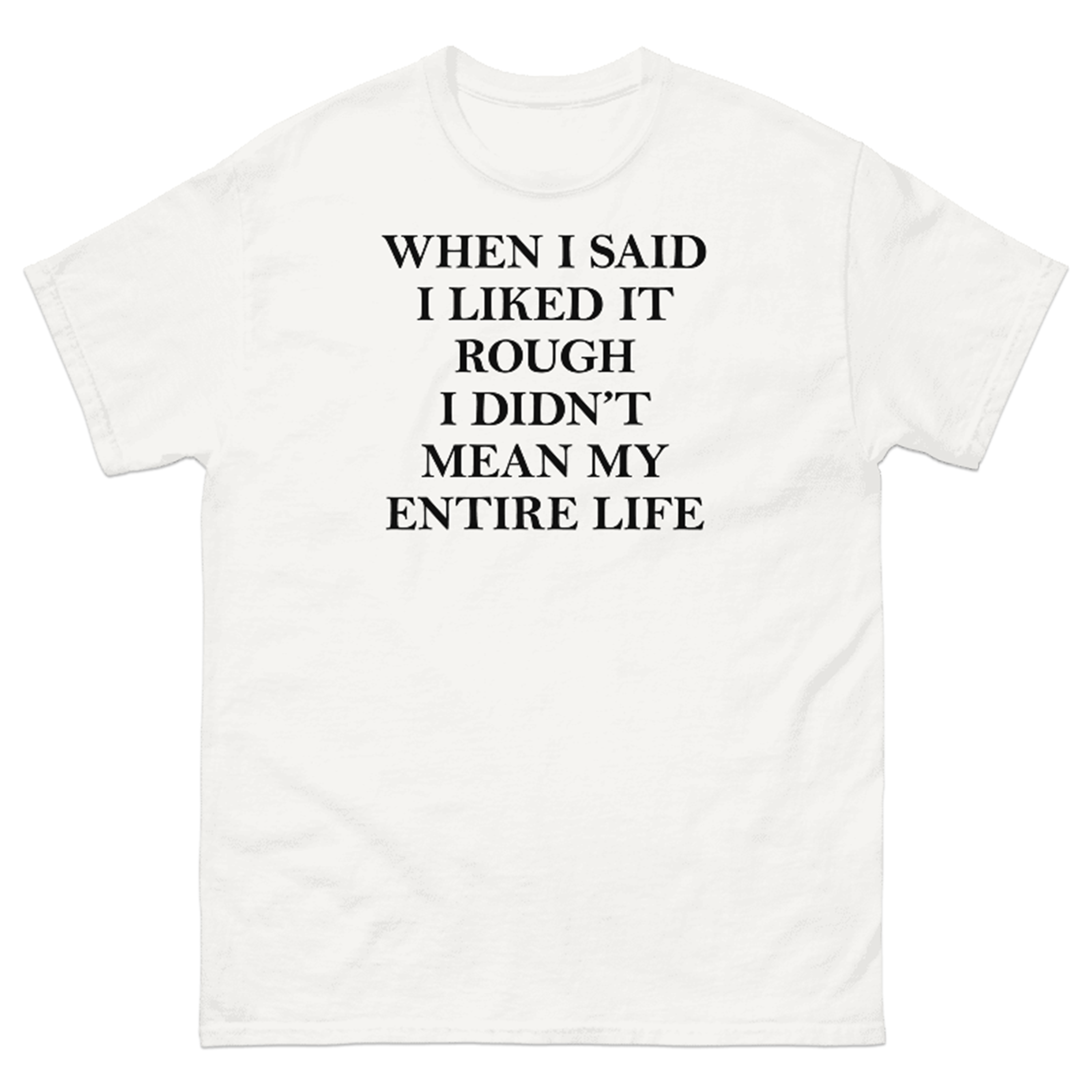 WHEN I SAID I LIKED IT ROUGH I DIDN'T MEAN MY ENTIRE LIFE T-SHIRT